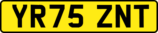 YR75ZNT