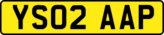 YS02AAP