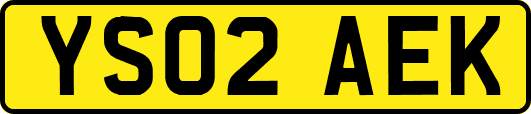 YS02AEK