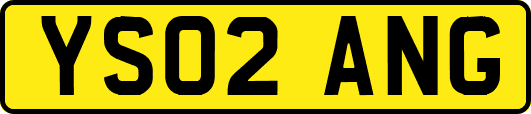 YS02ANG