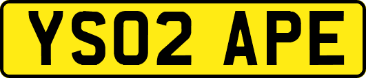 YS02APE