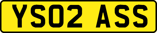 YS02ASS