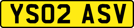 YS02ASV