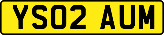 YS02AUM