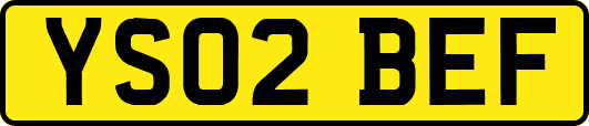 YS02BEF