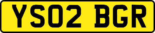 YS02BGR