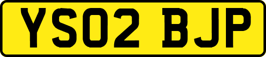 YS02BJP