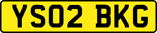 YS02BKG