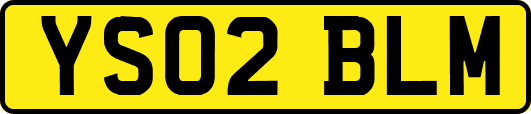 YS02BLM