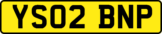 YS02BNP