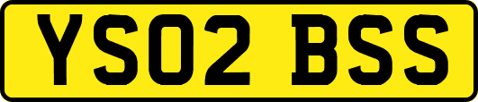 YS02BSS