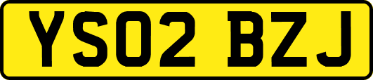 YS02BZJ