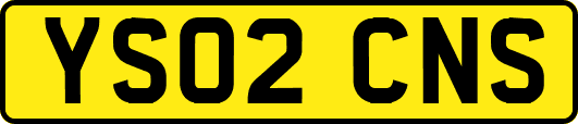 YS02CNS