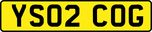 YS02COG