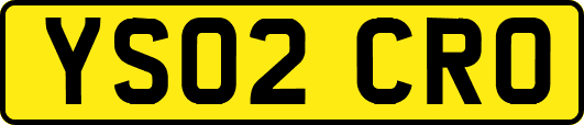 YS02CRO