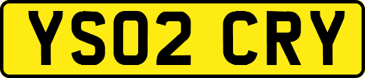 YS02CRY