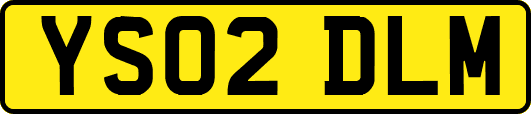 YS02DLM