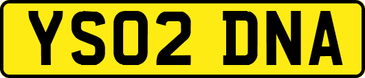 YS02DNA