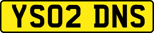 YS02DNS