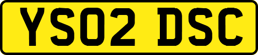 YS02DSC