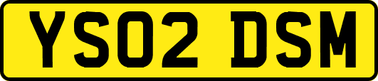 YS02DSM