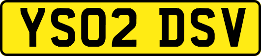YS02DSV