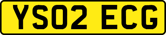 YS02ECG