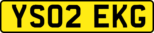 YS02EKG