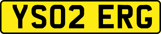 YS02ERG