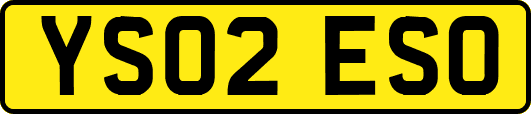 YS02ESO
