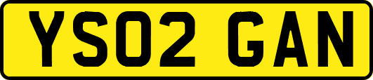 YS02GAN