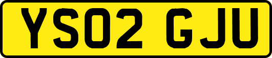 YS02GJU