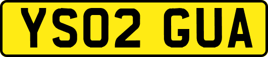 YS02GUA