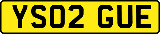 YS02GUE