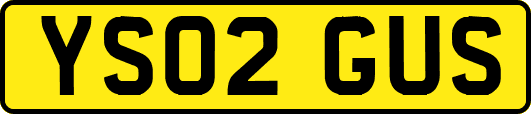 YS02GUS