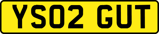 YS02GUT
