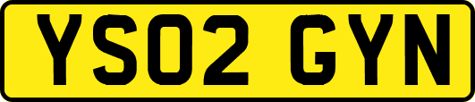 YS02GYN