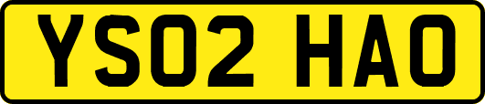 YS02HAO
