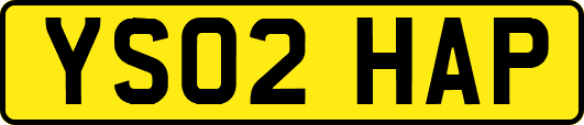 YS02HAP