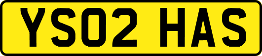 YS02HAS