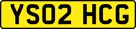 YS02HCG