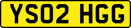 YS02HGG
