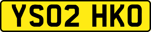 YS02HKO