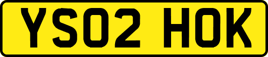 YS02HOK