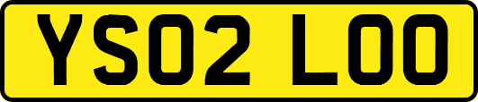 YS02LOO