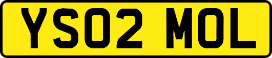 YS02MOL