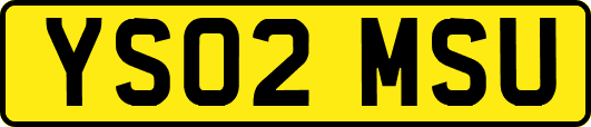 YS02MSU