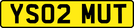 YS02MUT