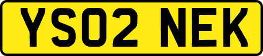 YS02NEK