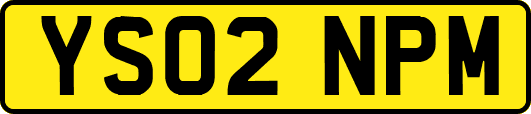 YS02NPM